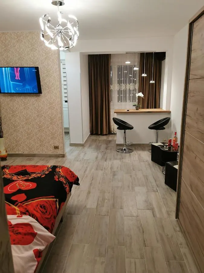 Studio Alina&Marius Bucharest Apartment